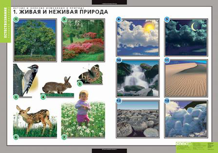 0b55683ef1bb2484a36b524637ceccba